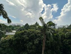 Blk 339 Clementi Avenue 5 (Clementi), HDB 3 Rooms #561632181